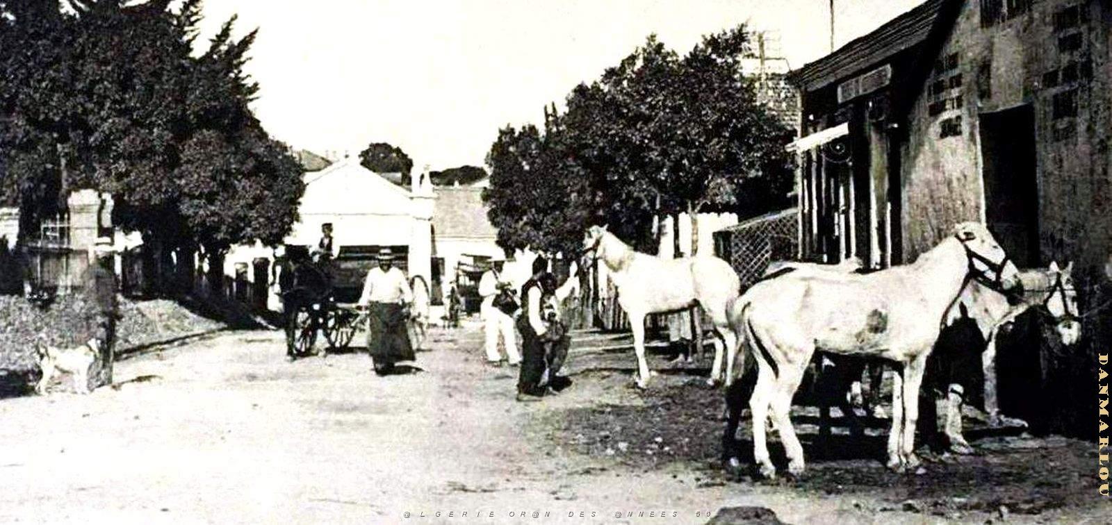 2567- Douera - Rue de la Poste2.jpg